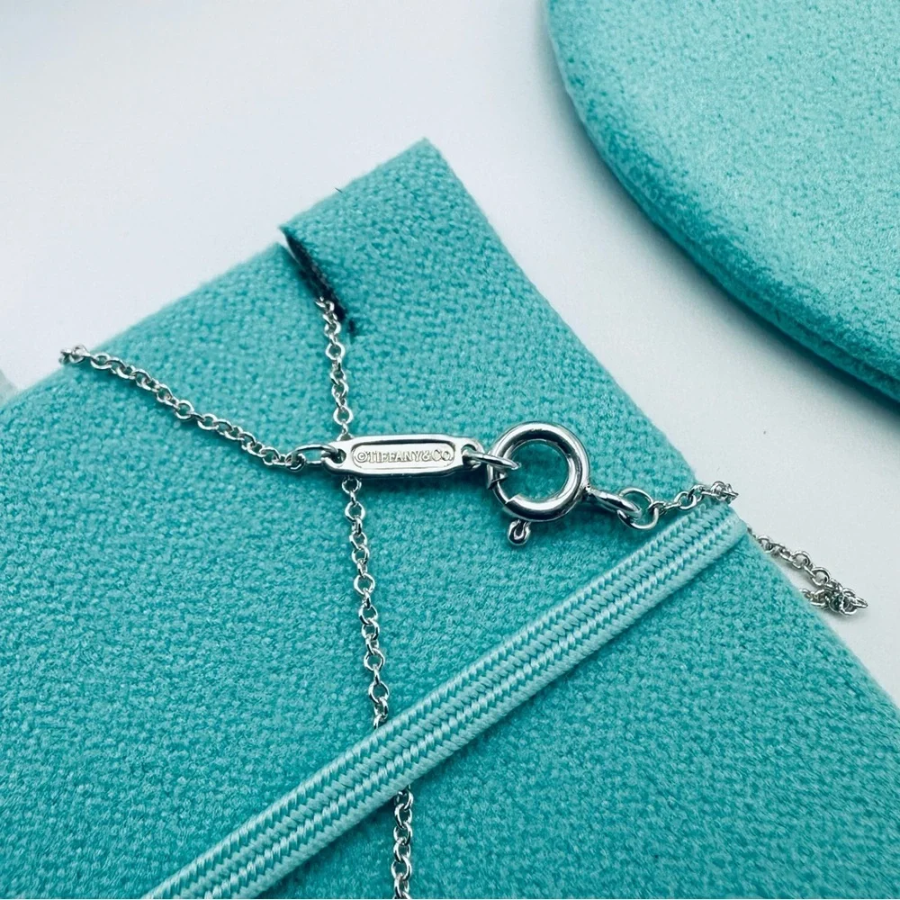 NEW Return to Tiffany & Co. Beyonce Renaissance Tour Collection Necklace 18” - Picture 7 of 10